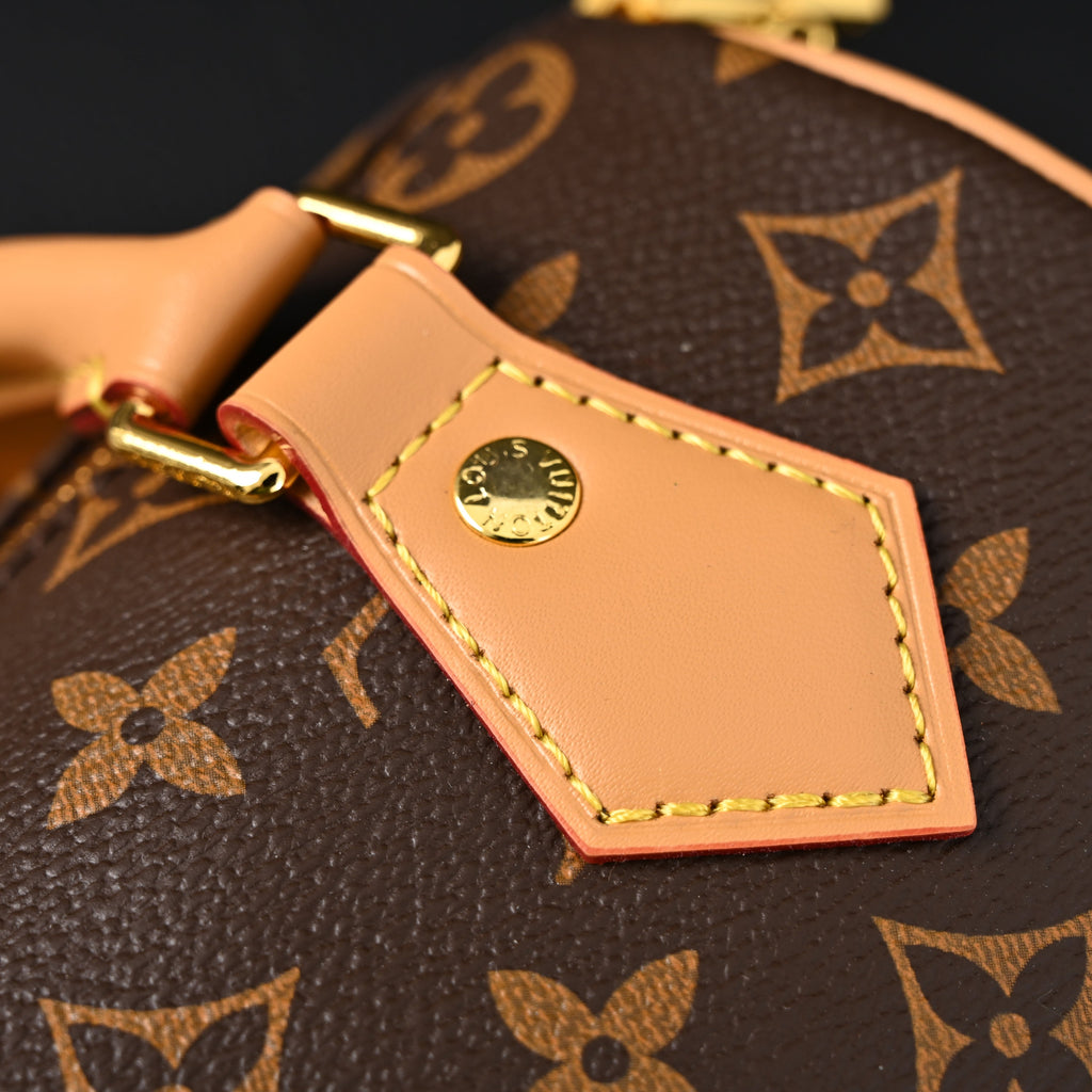 Louis Vuitton Speedy Bandoulière 25 Monogram Canvas