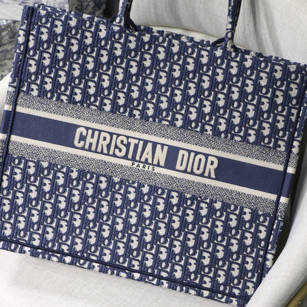 Dior Book Tote Blue