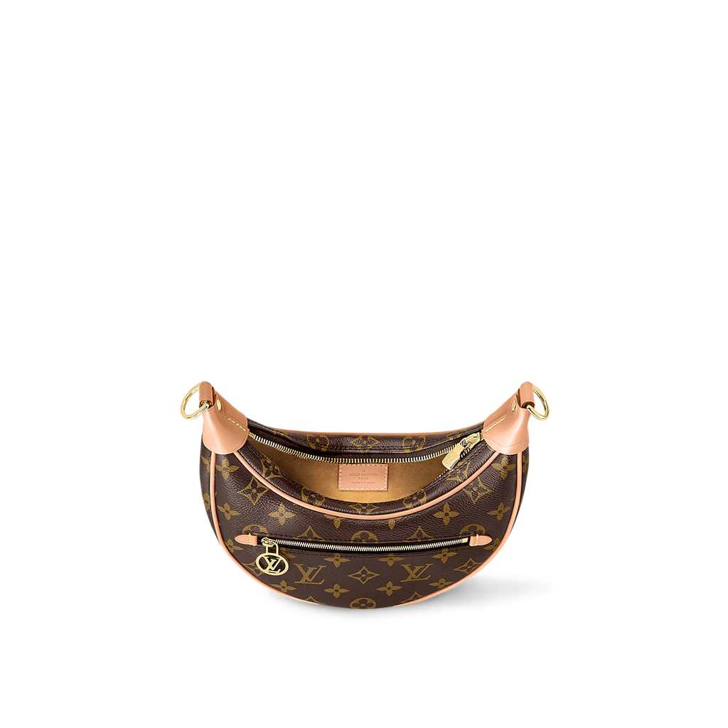 LV Loop PM Bag - Monogram